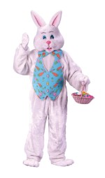 Bunny Costume with Overhead Mask